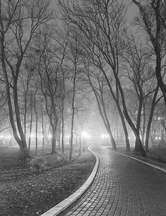 black and white photo of a path through a foggy park